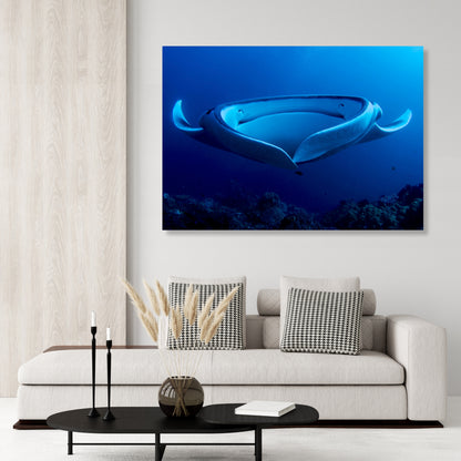Manta Ray's Hug Wall Art Canvas Print