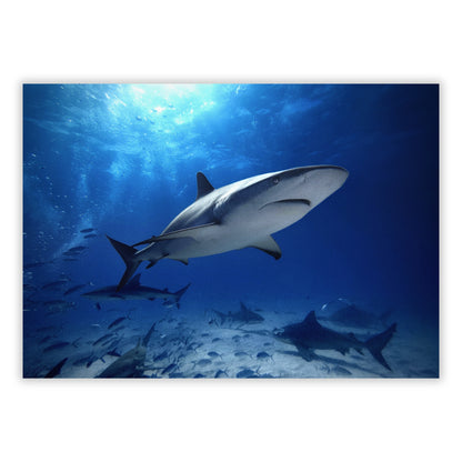 Sharks Wall Art Canvas Print