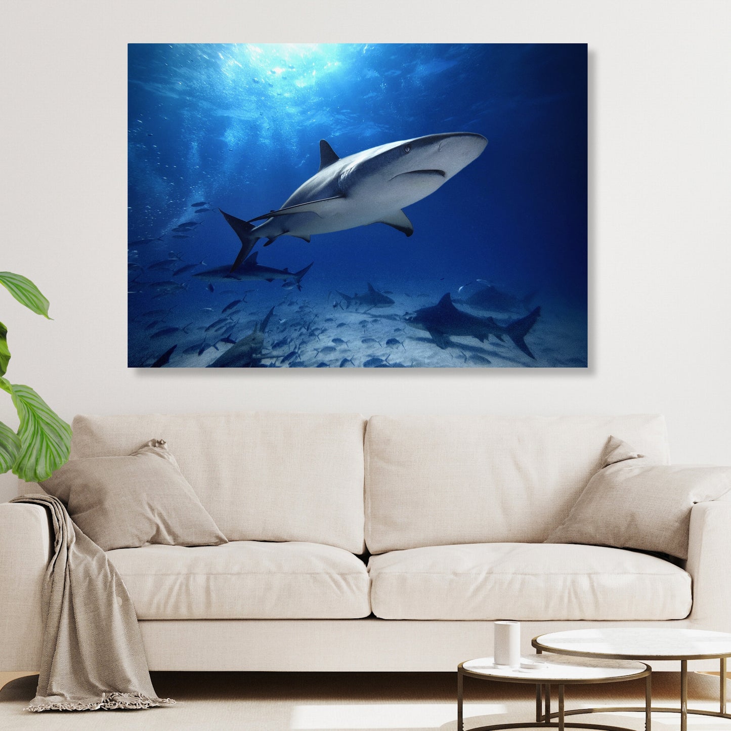Sharks Wall Art Canvas Print