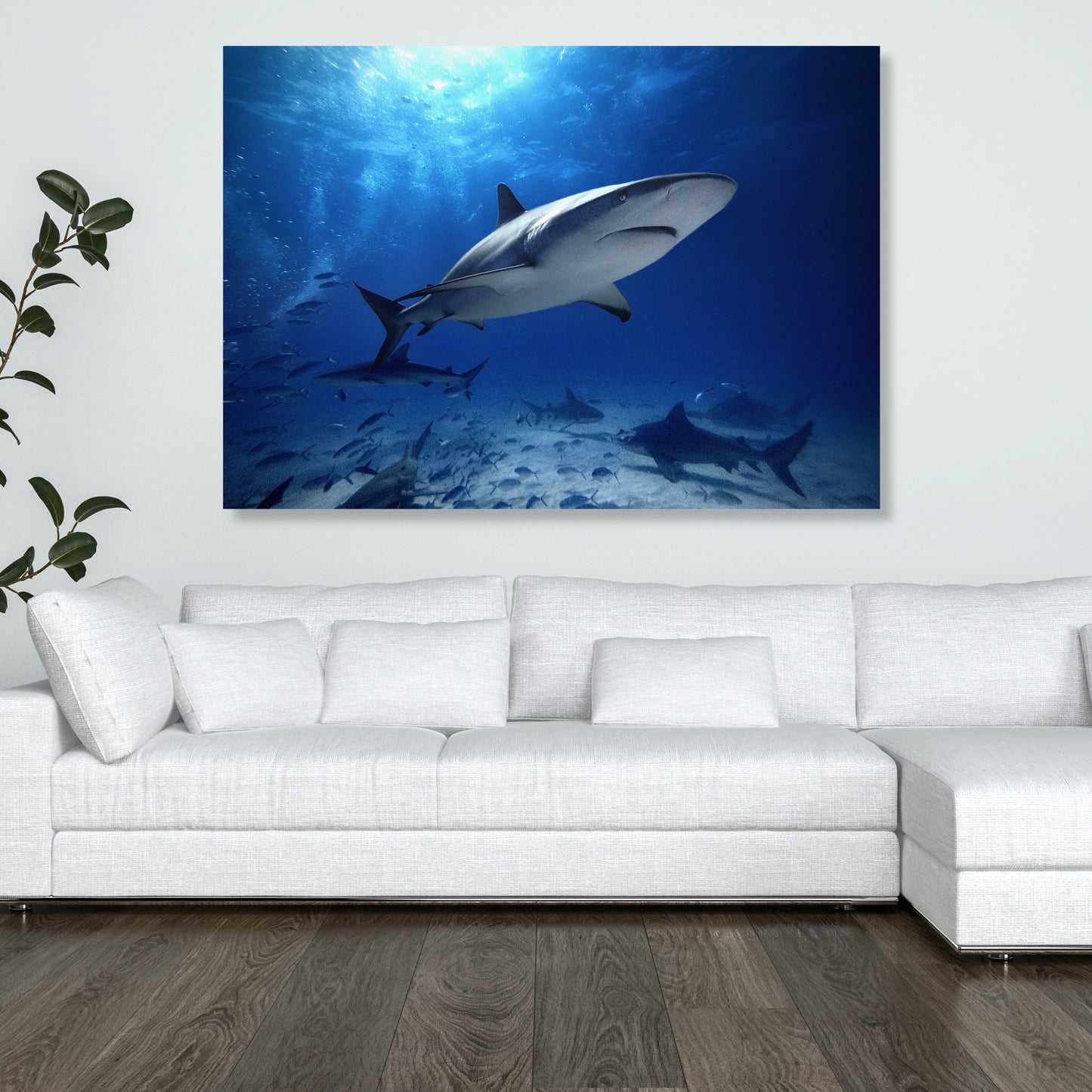Sharks Wall Art Canvas Print