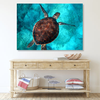Sea Turtle Wall Art Canvas Print