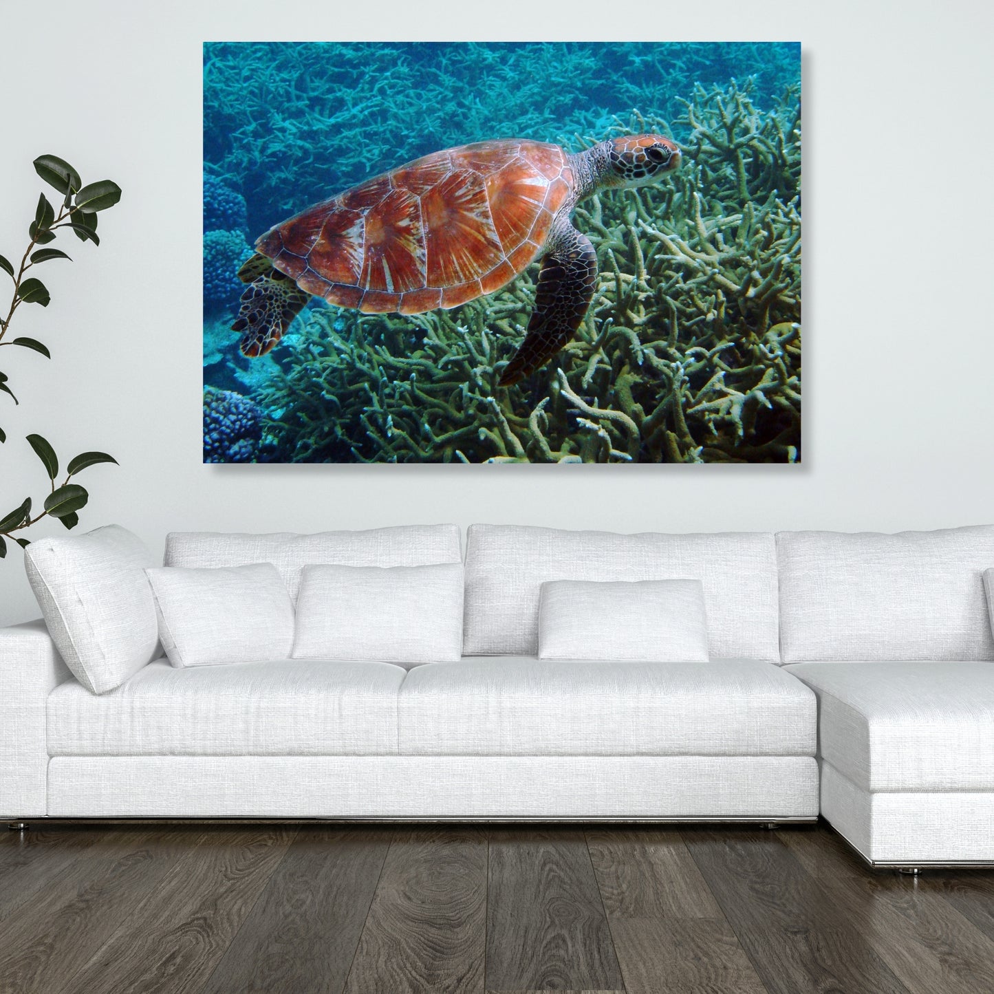 Turtle Reef Wall Art Canvas Print
