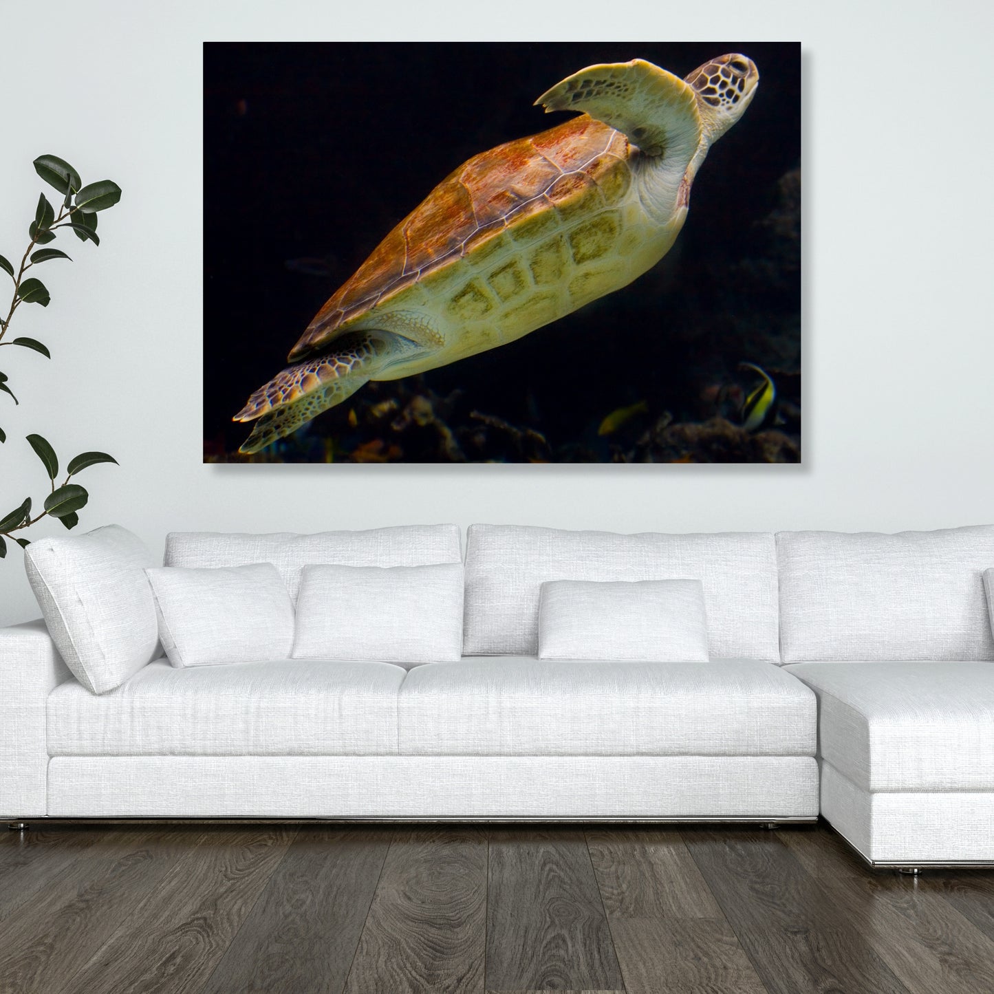 Turtle Drift Wall Art Canvas Print