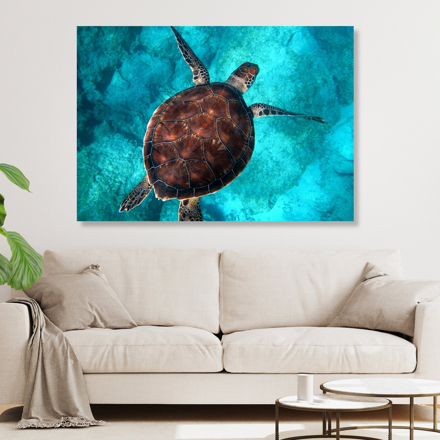 Sea Turtle Wall Art Canvas Print