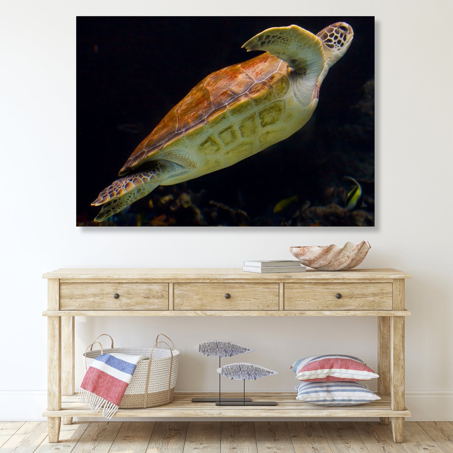 Turtle Drift Wall Art Canvas Print