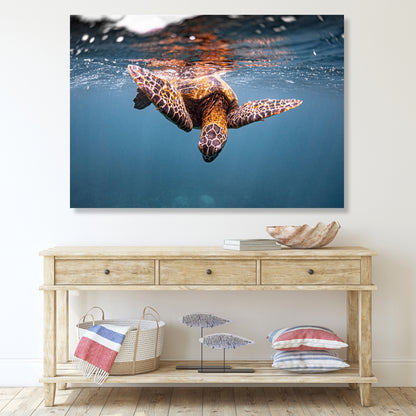 Turtle Curiosity Wall Art Canvas Print