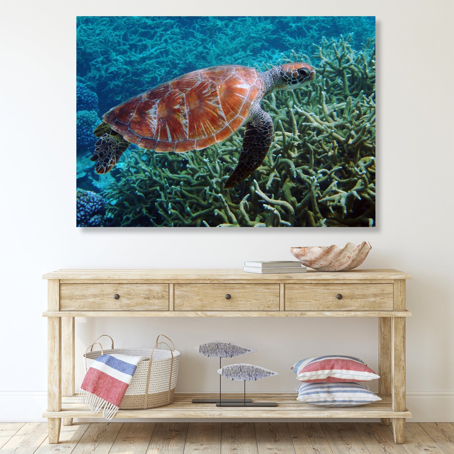 Turtle Reef Wall Art Canvas Print