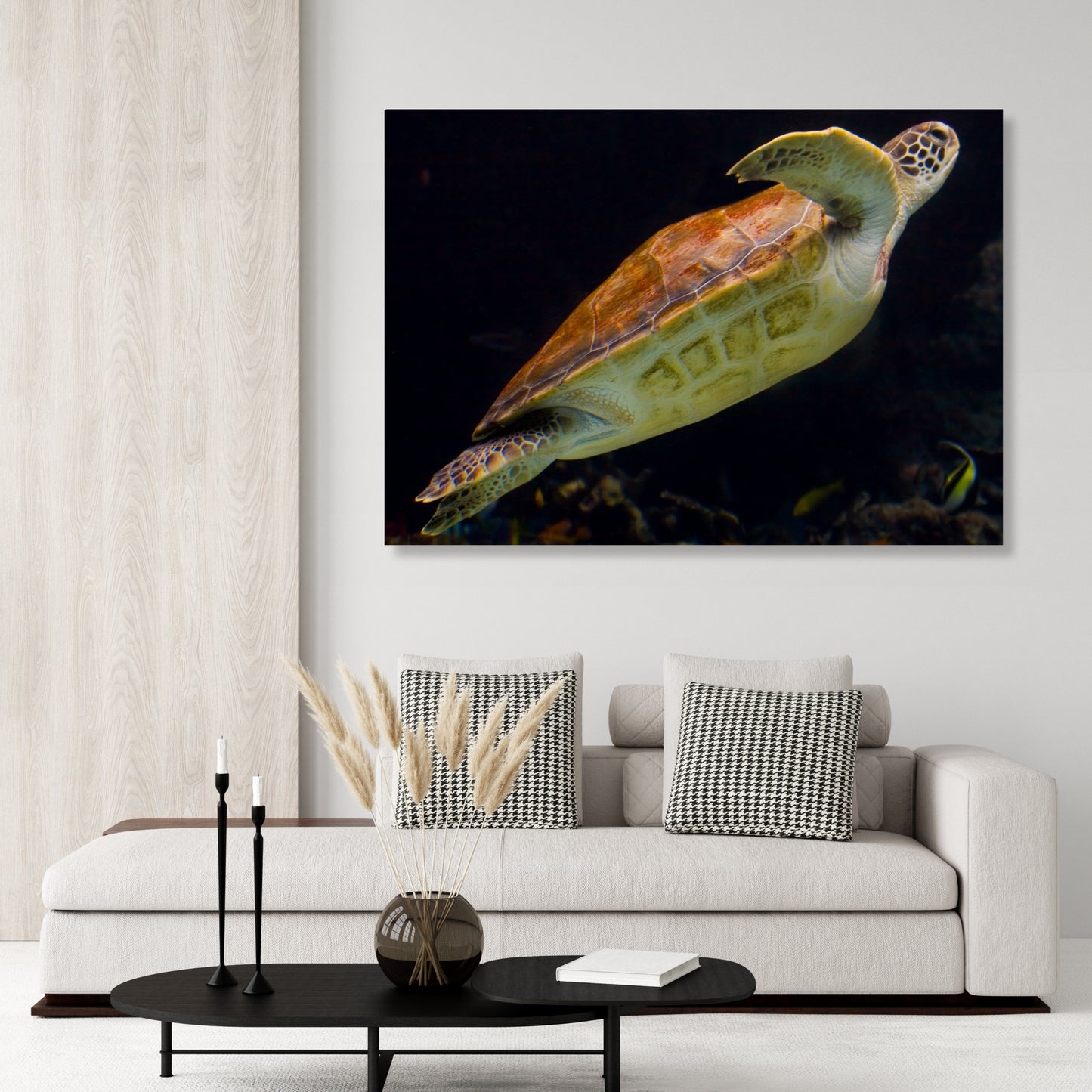 Turtle Drift Wall Art Canvas Print