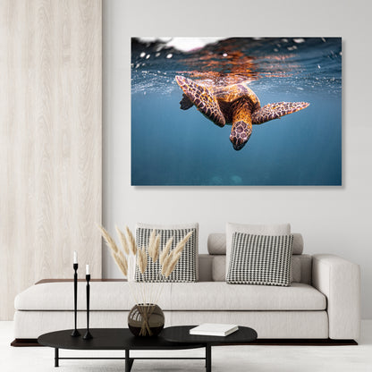 Turtle Curiosity Wall Art Canvas Print