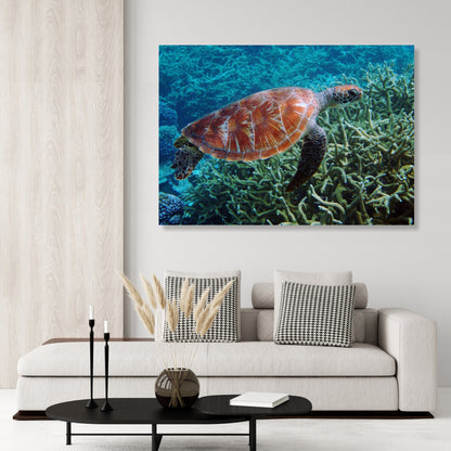 Turtle Reef Wall Art Canvas Print