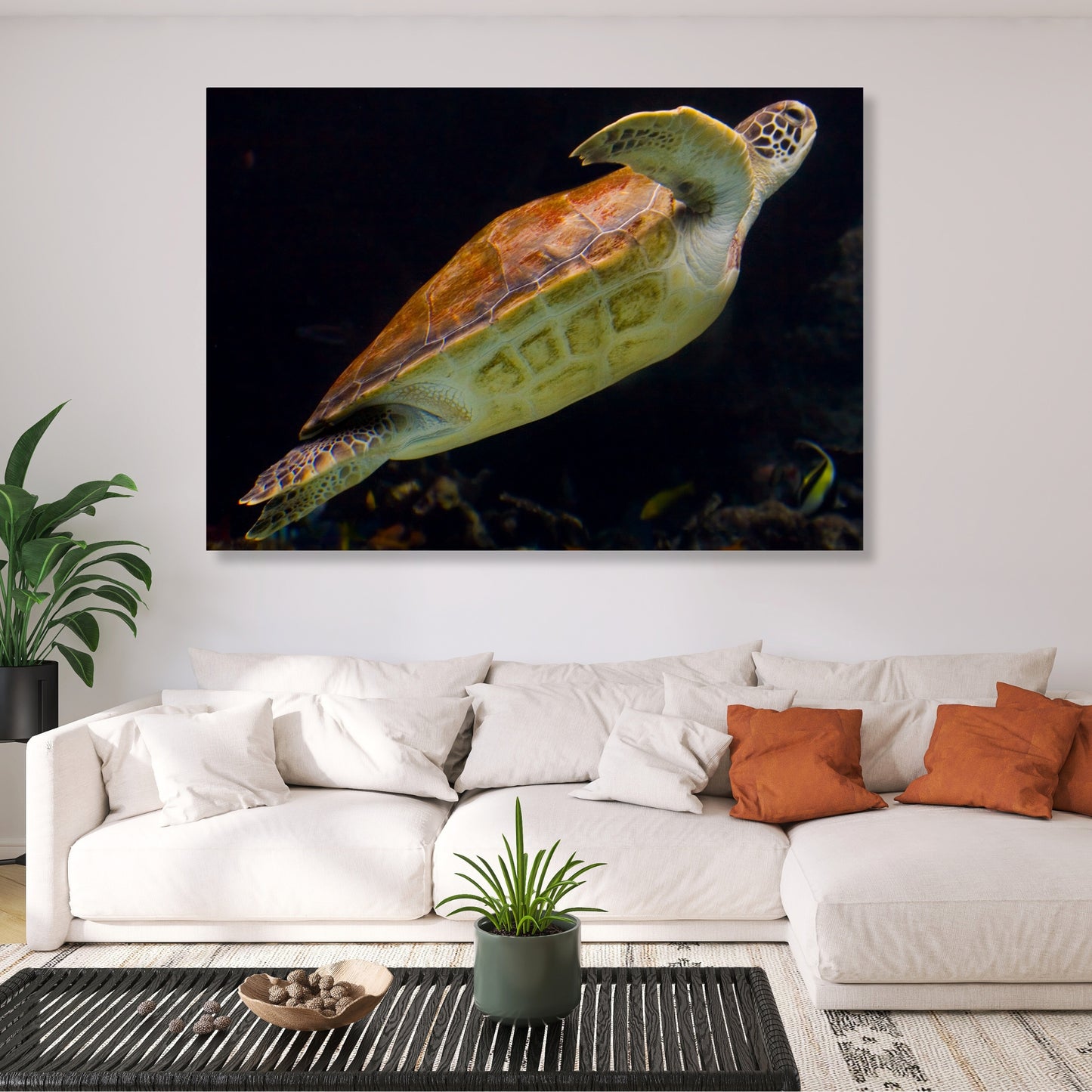 Turtle Drift Wall Art Canvas Print