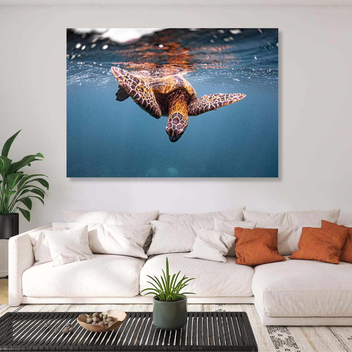 Turtle Curiosity Wall Art Canvas Print