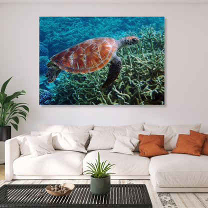 Turtle Reef Wall Art Canvas Print