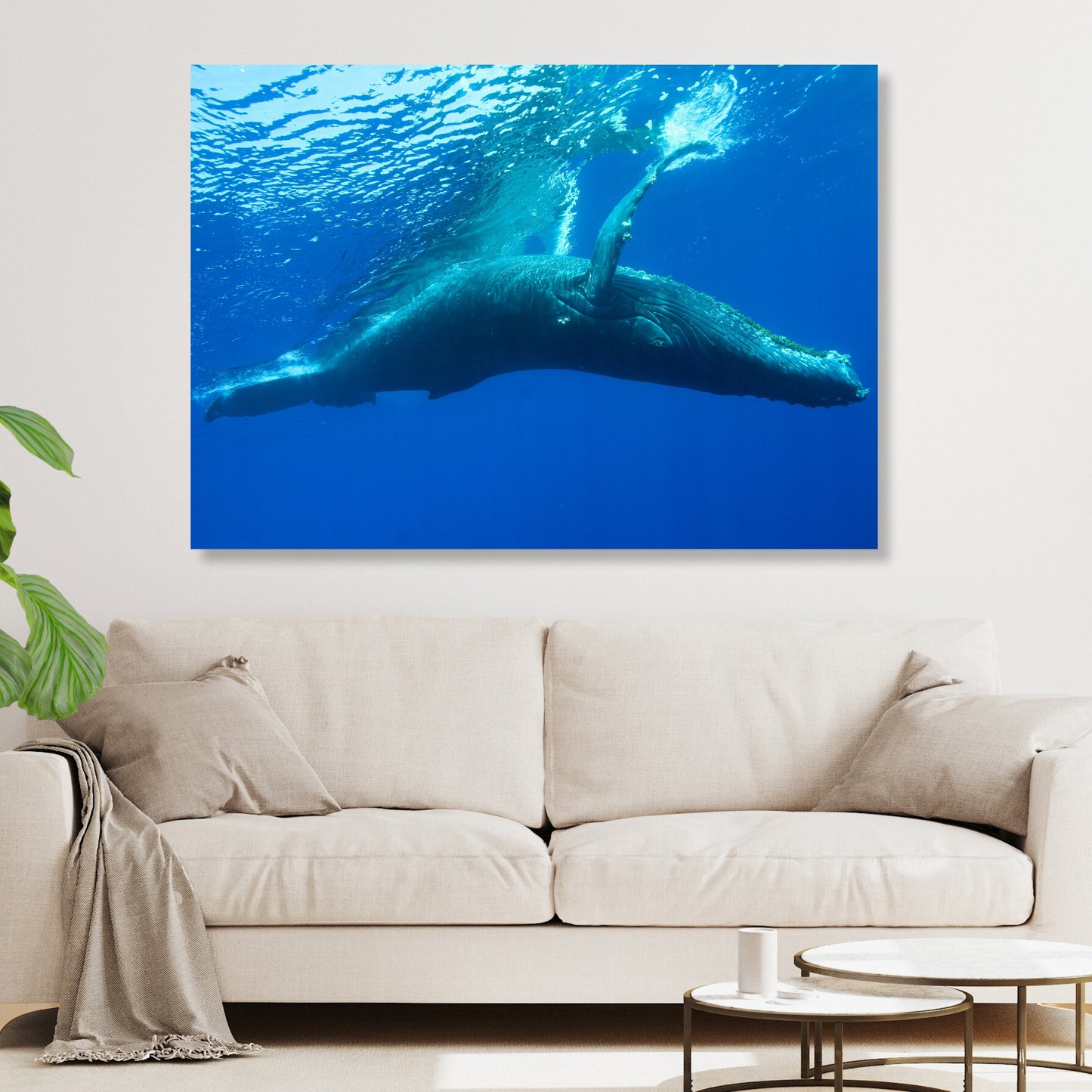 Humpback Whale Wall Art Canvas Print