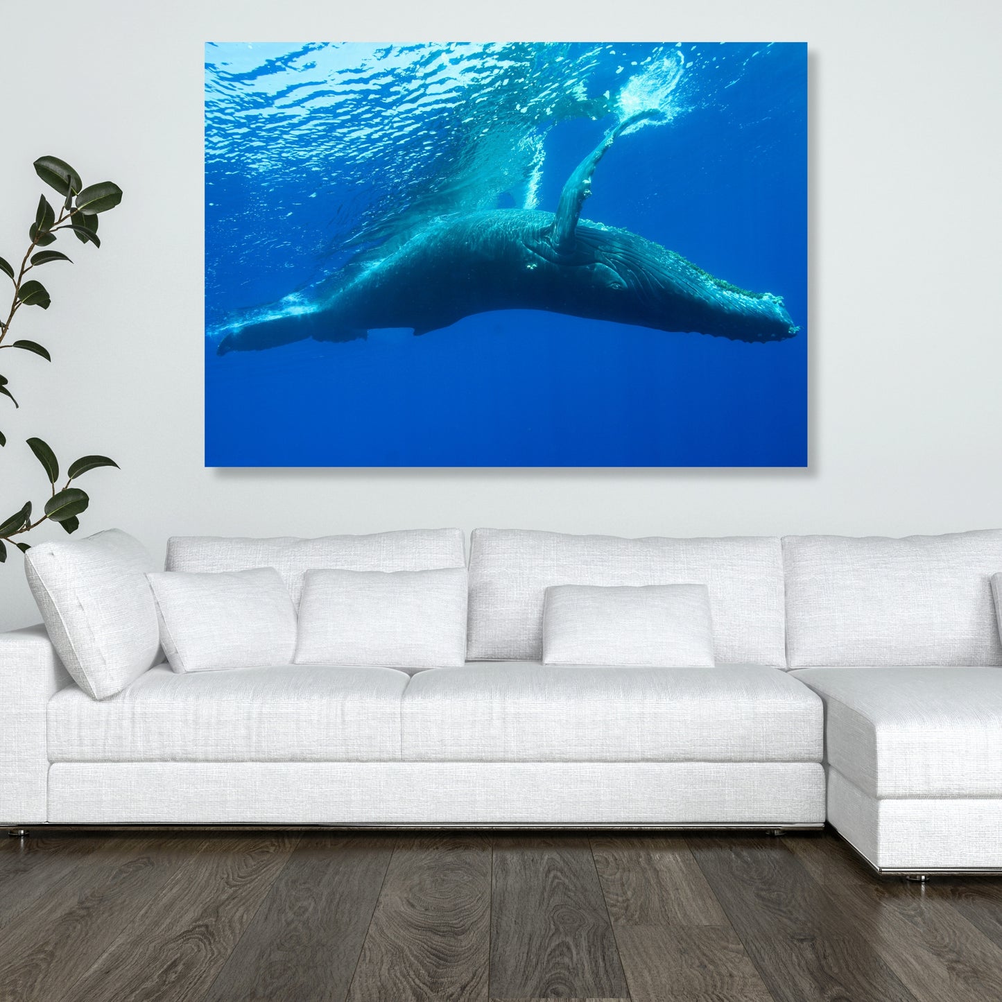 Humpback Whale Wall Art Canvas Print