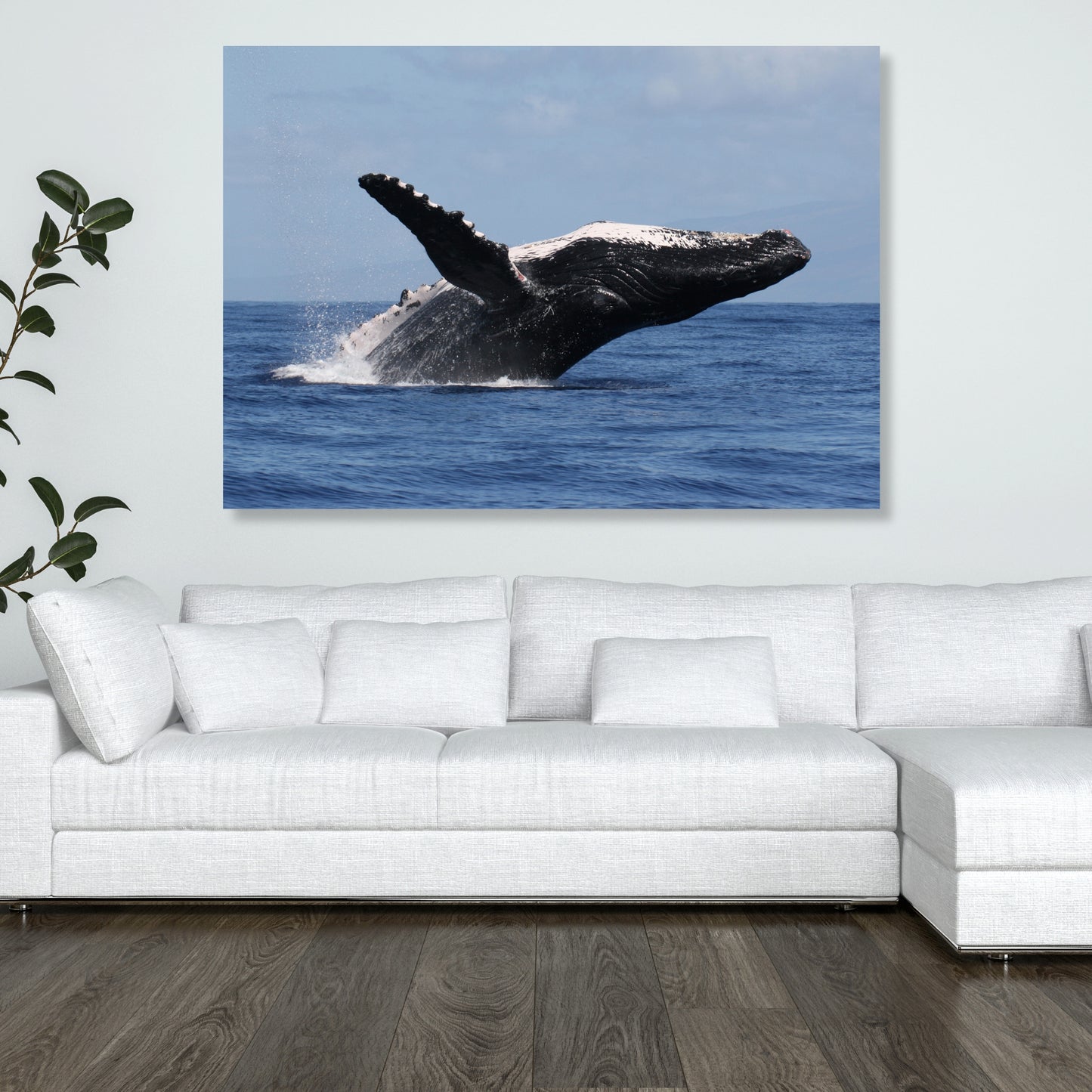 Humpback Breach Wall Art Canvas Print