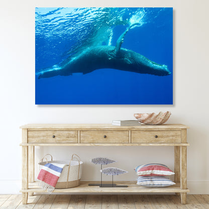 Humpback Whale Wall Art Canvas Print