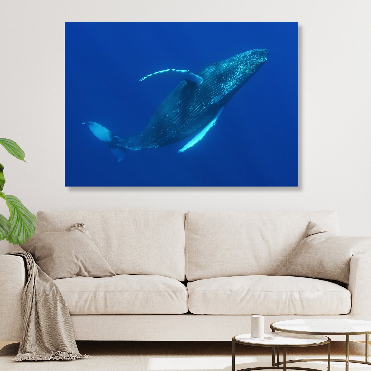 Majestic Humpback Wall Art Canvas Print
