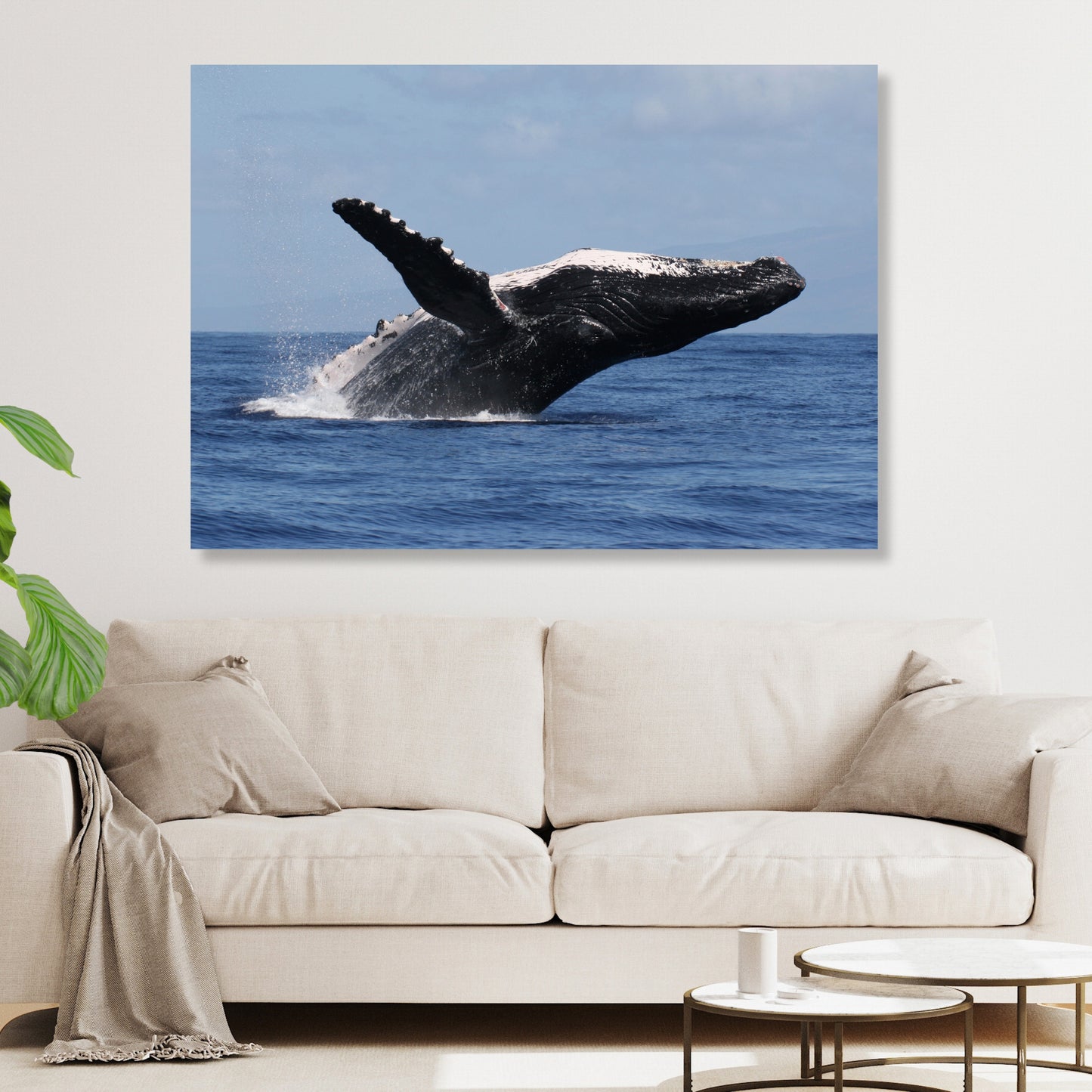 Humpback Breach Wall Art Canvas Print