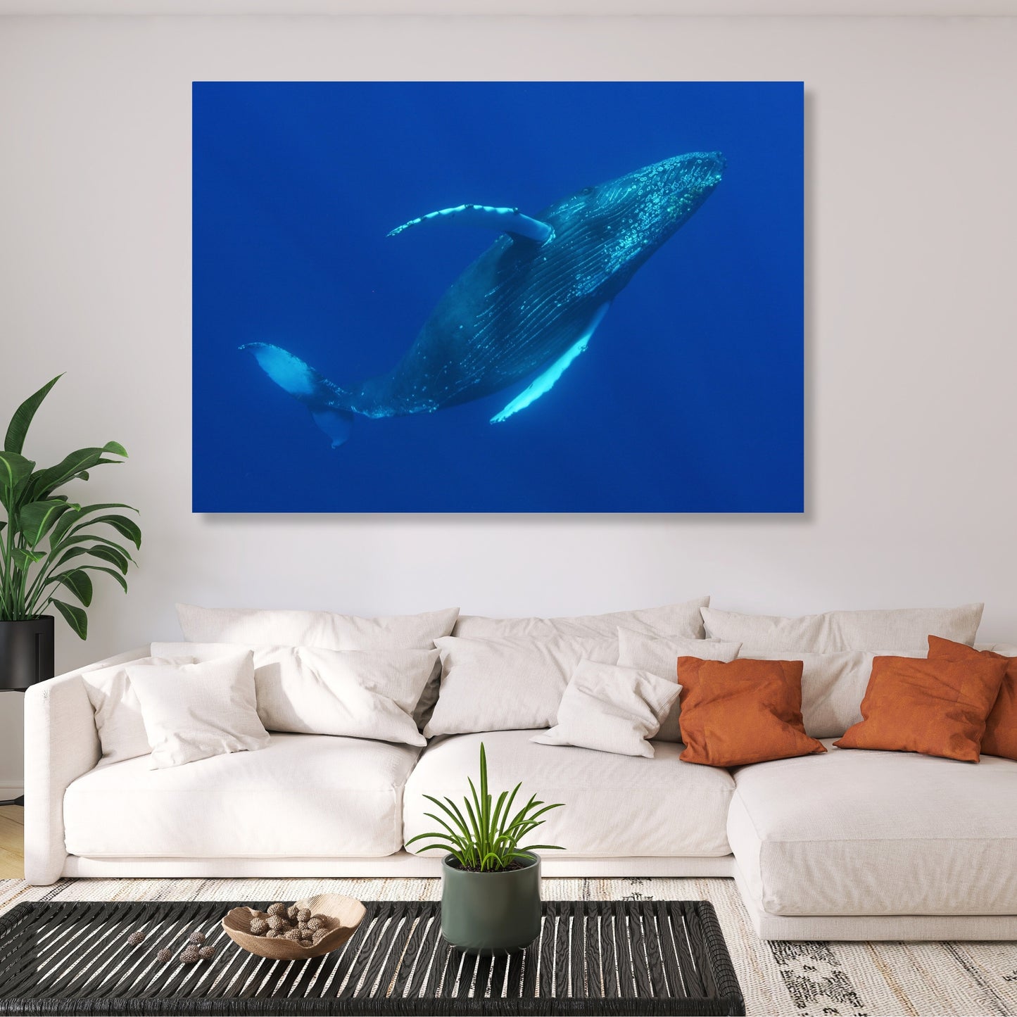 Majestic Humpback Wall Art Canvas Print