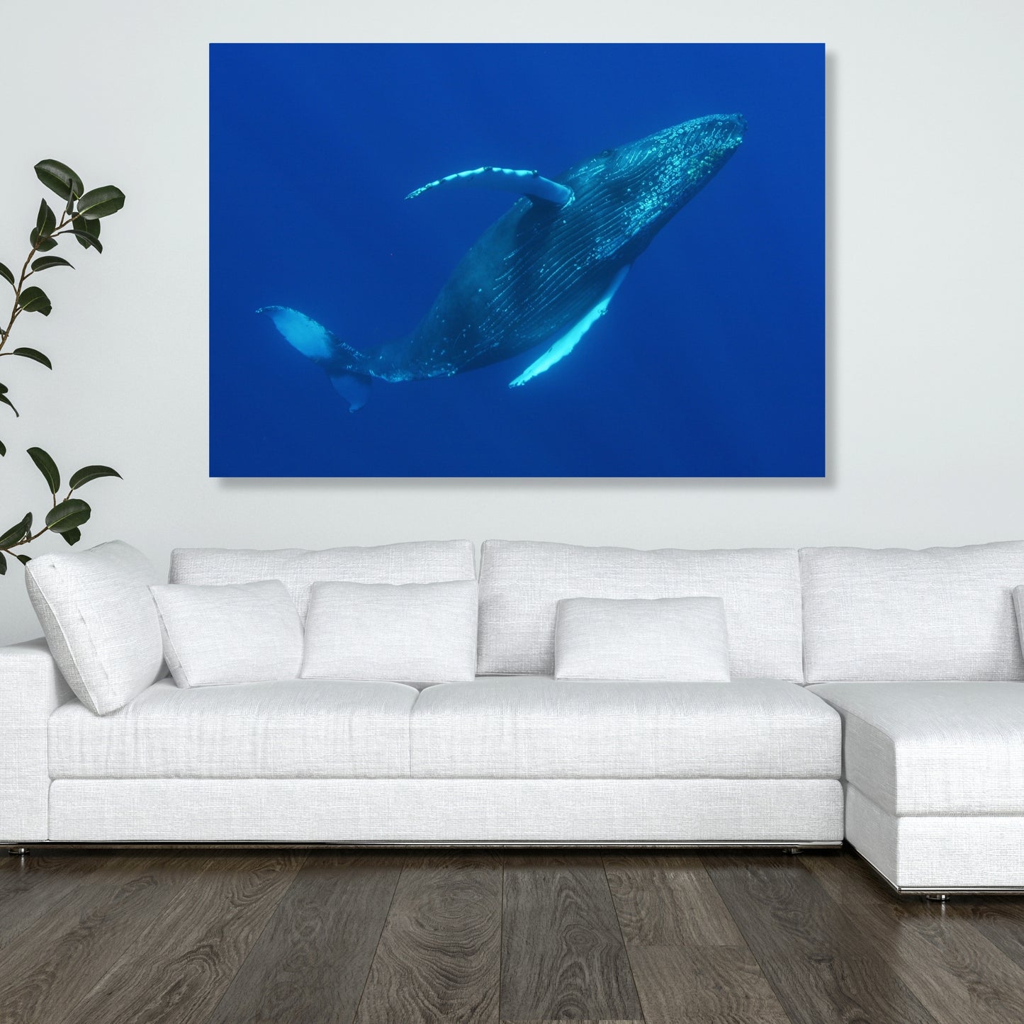 Majestic Humpback Wall Art Canvas Print