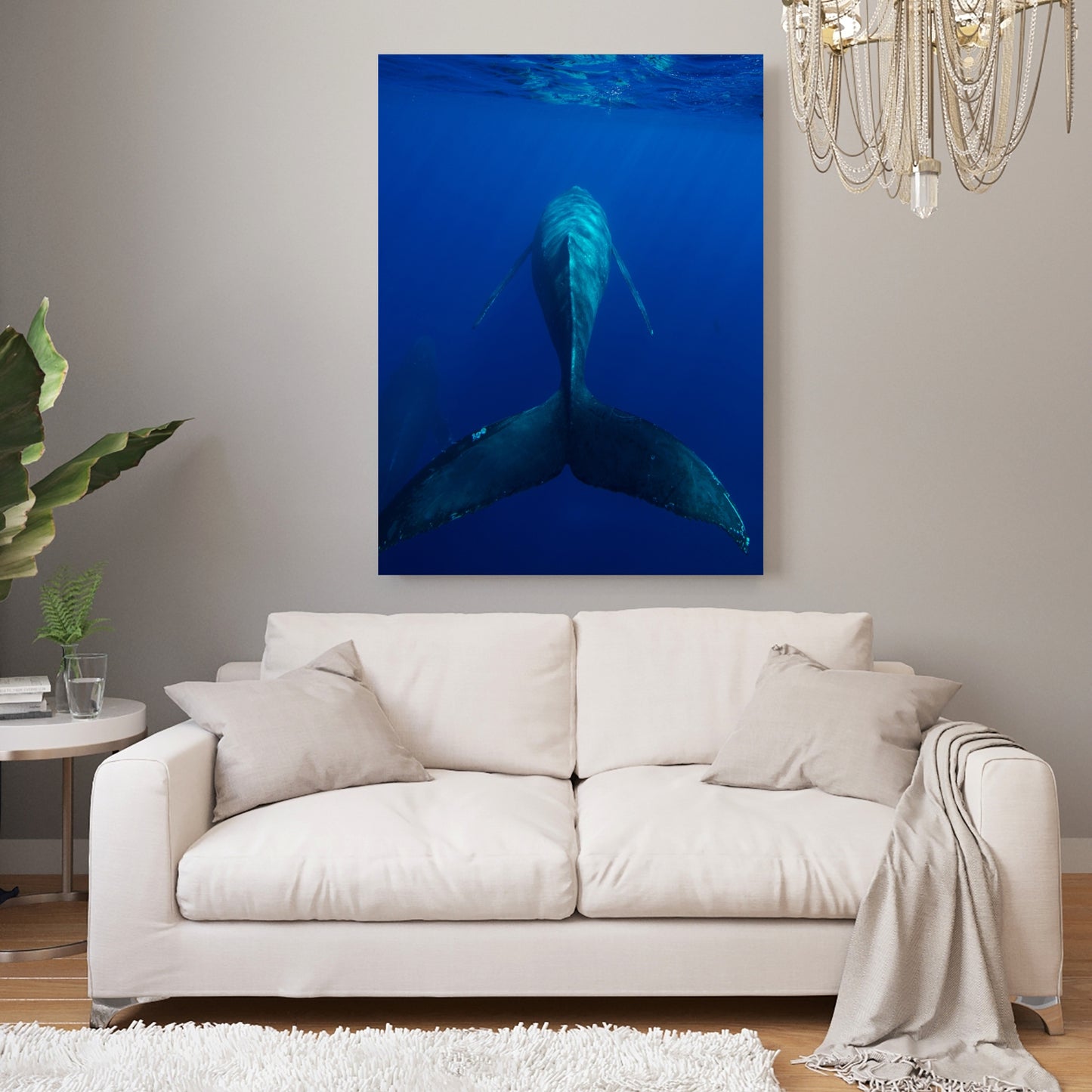 Swim On Wall Art Canvas Print