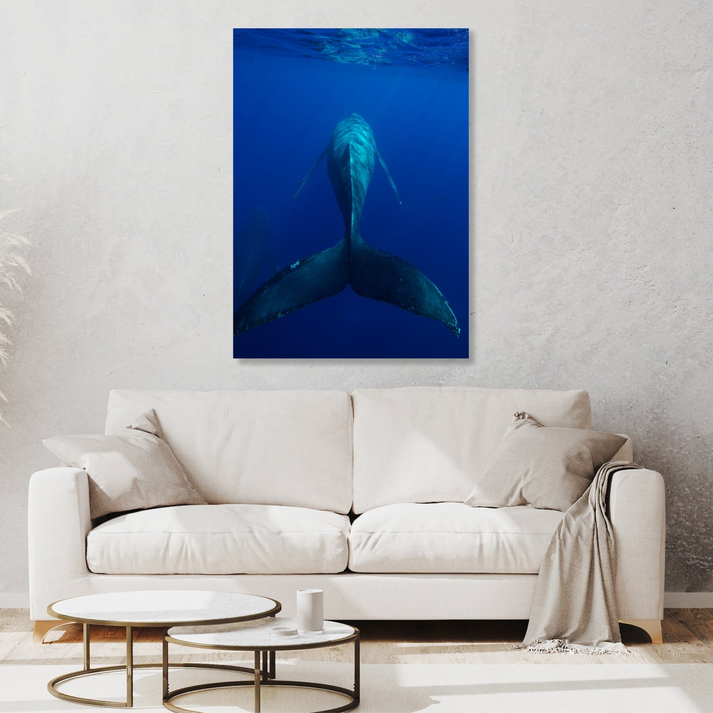 Swim On Wall Art Canvas Print