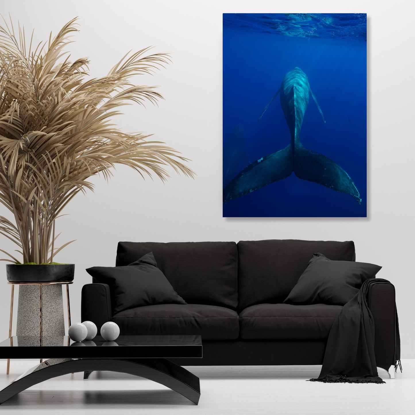 Swim On Wall Art Canvas Print