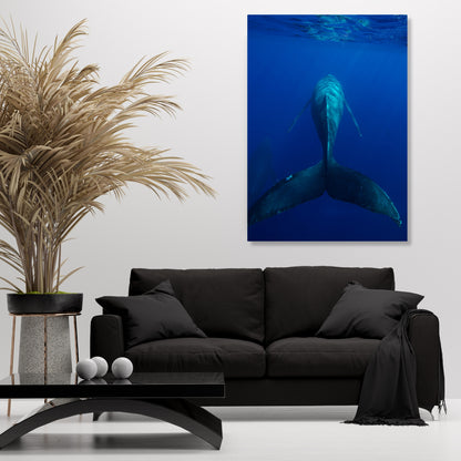 Swim On Wall Art Canvas Print