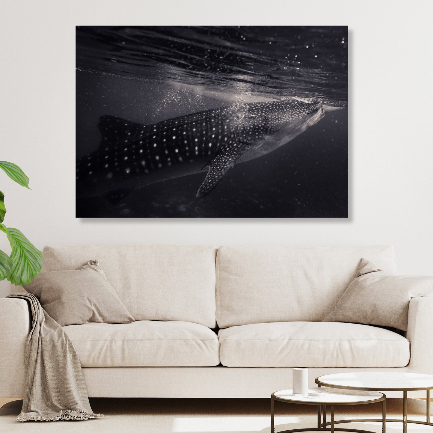 Whale Shark Wall Art Canvas Print
