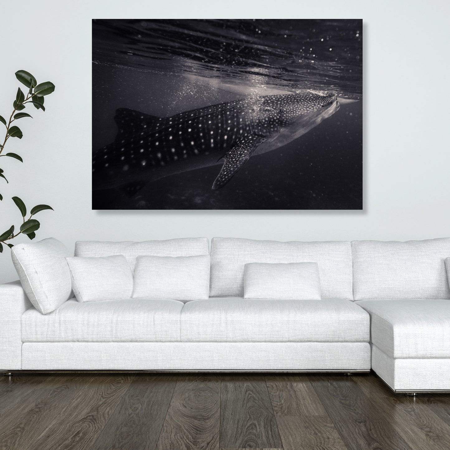Whale Shark Wall Art Canvas Print