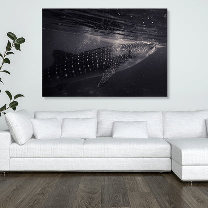Whale Shark Wall Art Canvas Print