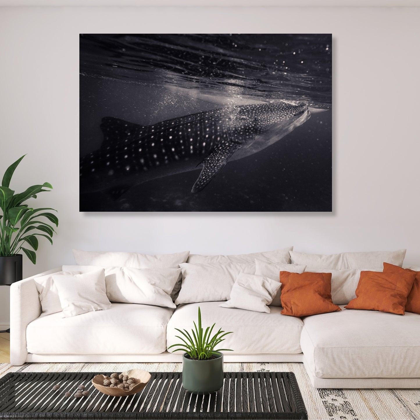 Whale Shark Wall Art Canvas Print