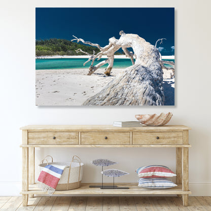 Driftwood Calm Wall Art Canvas Print