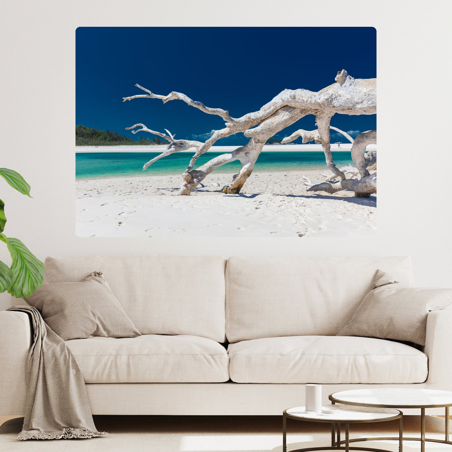 Driftwood Wall Art Canvas Print