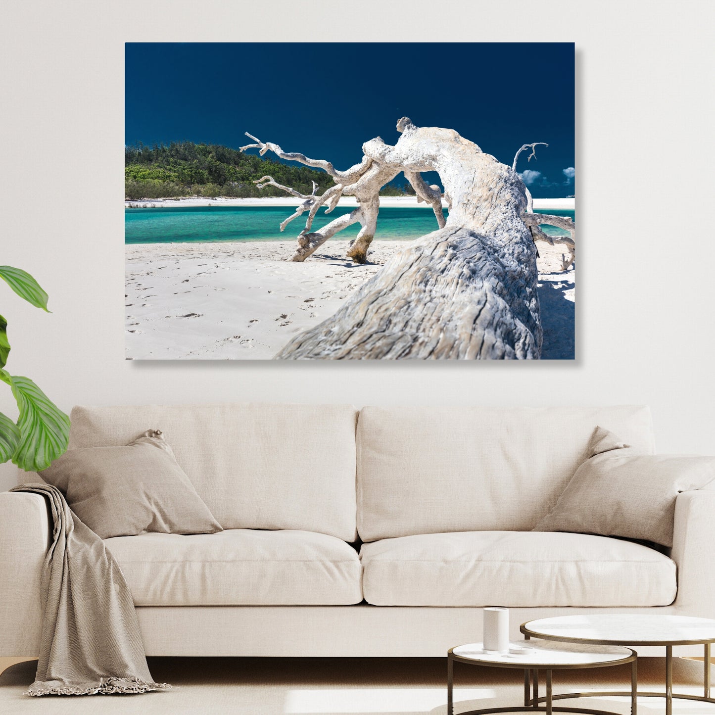 Driftwood Calm Wall Art Canvas Print