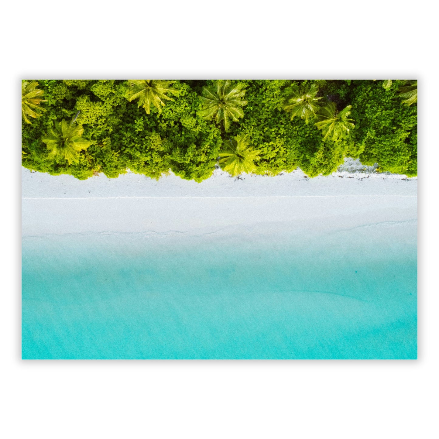 Oasis Wall Art Canvas Print