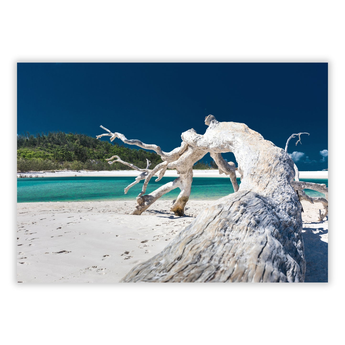Driftwood Calm Wall Art Canvas Print