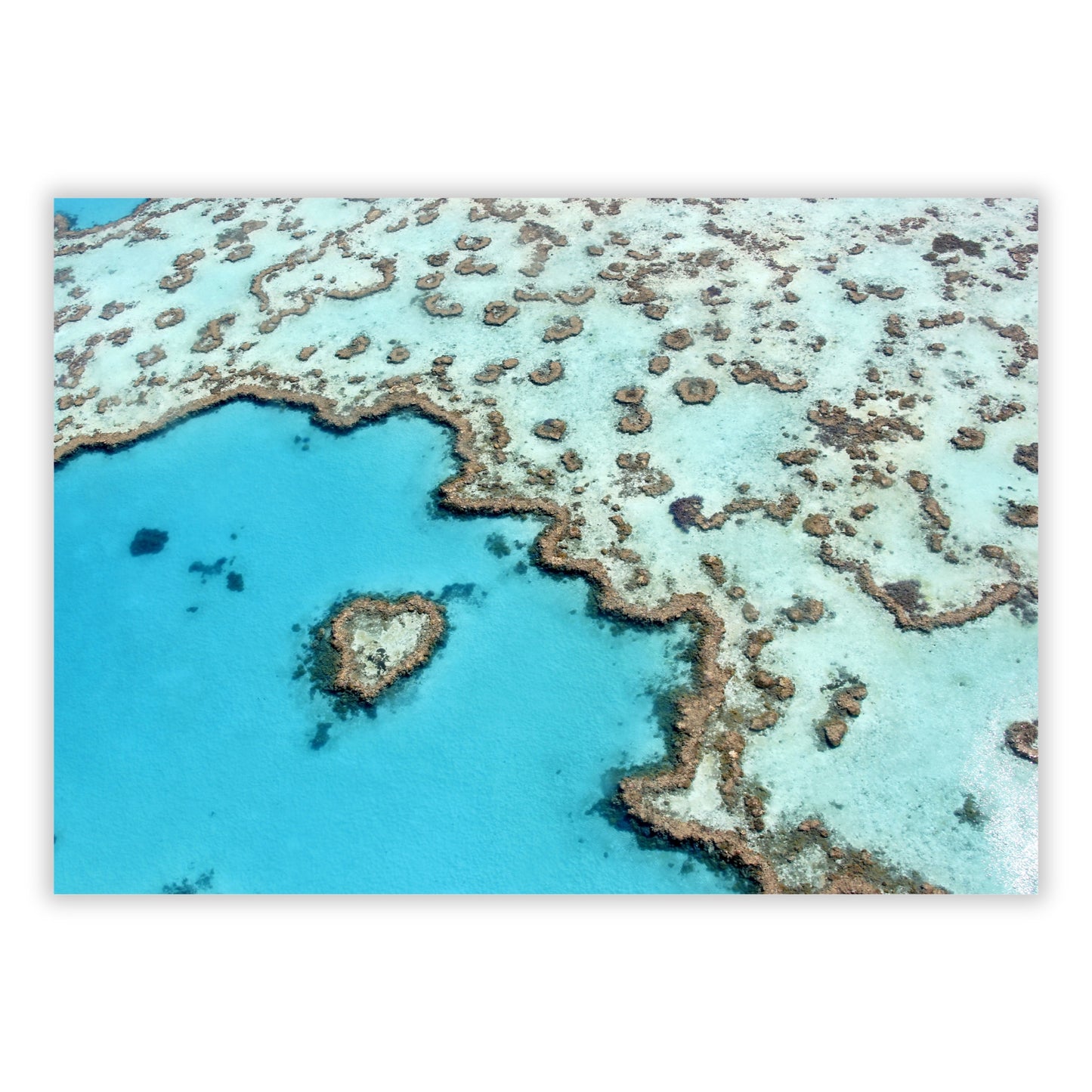 Reef Romance Wall Art Canvas Print