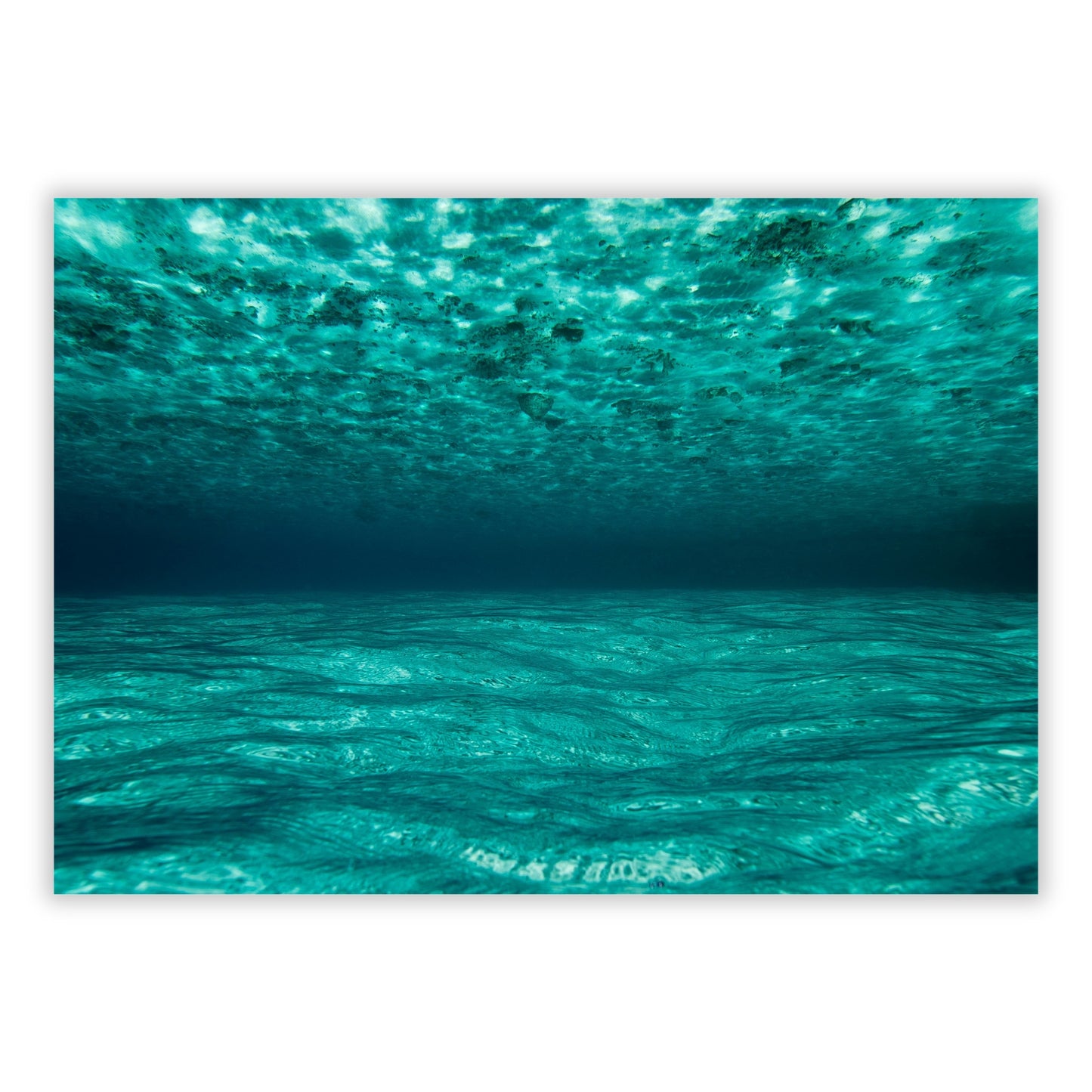 Underwater Wall Art Canvas Print