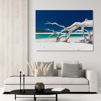 Driftwood Wall Art Canvas Print