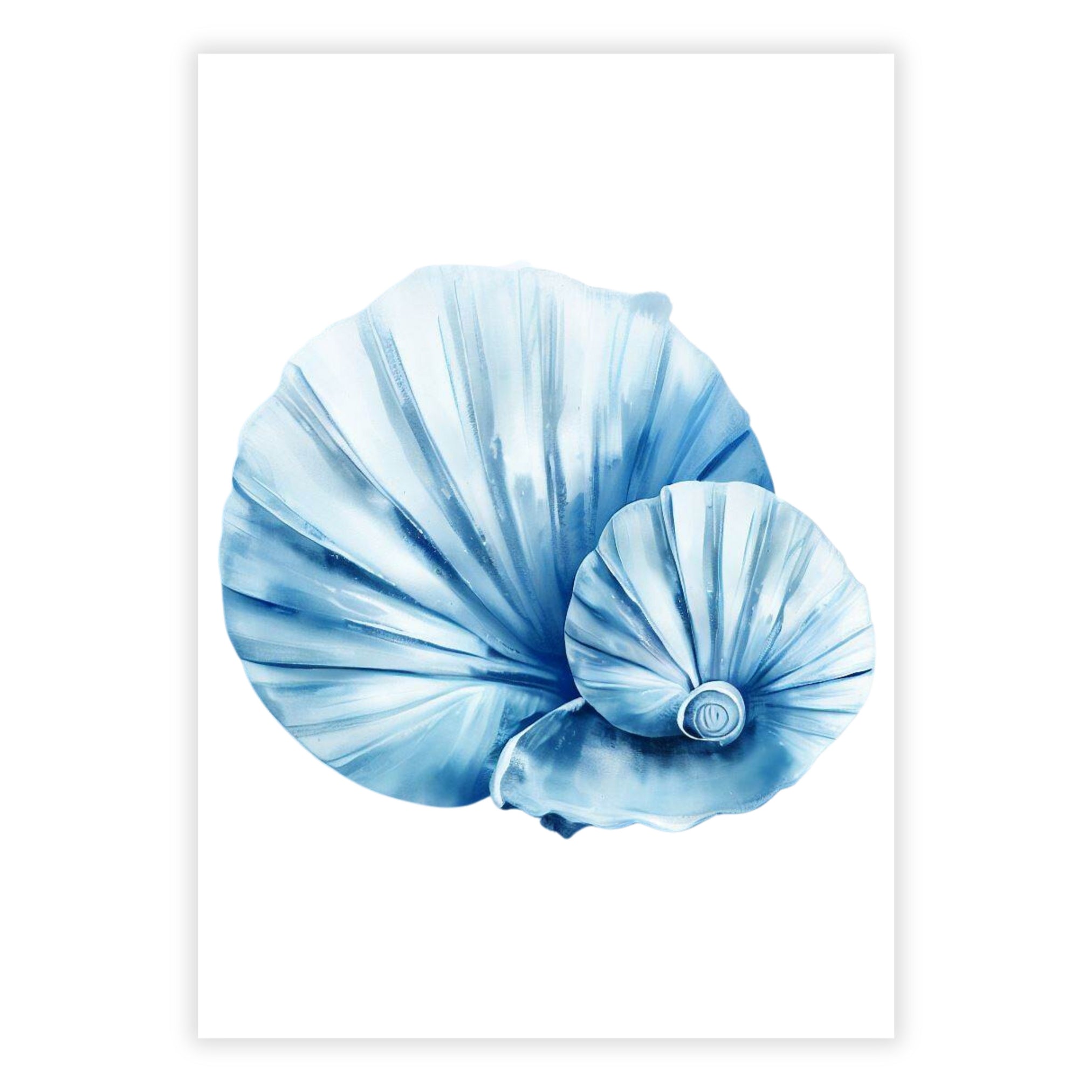 Hamptons Sea Shells Canvas Print - Luxe Wall Art