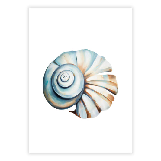 Natural Shell Wall Art Canvas Print