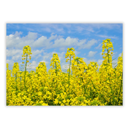 Yellow Wall Art Canvas Print
