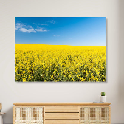 Golden Field Wall Art Canvas Print