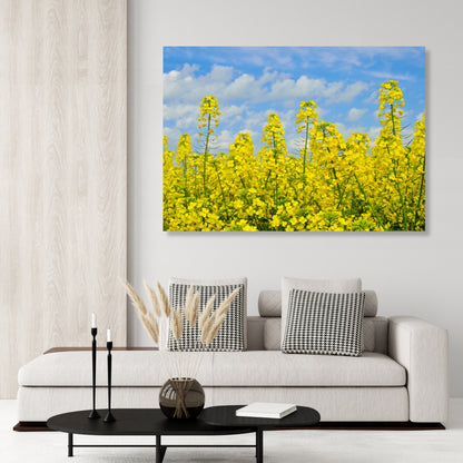 Yellow Wall Art Canvas Print