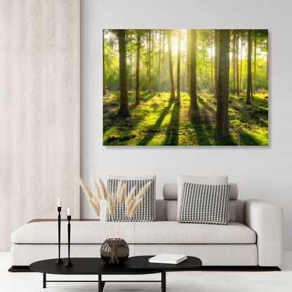Forest Sunlight Wall Art Canvas Print