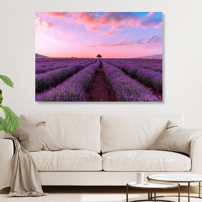 Lavender Fields Wall Art Canvas Print