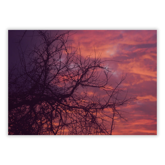 A Summers Night Wall Art Canvas Print