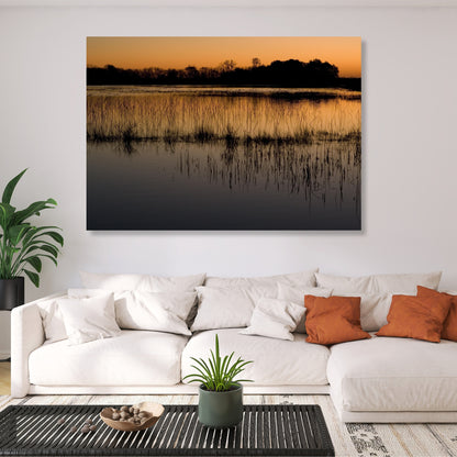 Mangroves Wall Art Canvas Print